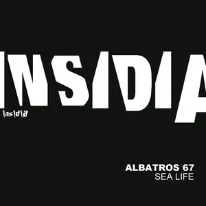Albatros 67 - Platonic