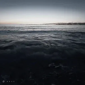 LIRTH - Rose