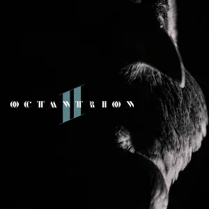 Octantrion feat. Cécile Corbel - The Dead King