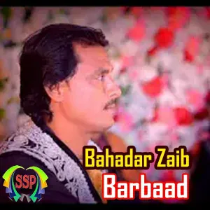 Bahadar Zaib - Da Pa Zana Che Di Khal Da
