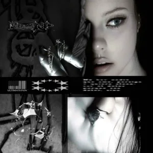 7nX - д***р