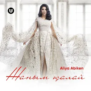 Aliya Abiken - Жаным қалай