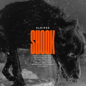 Algiers feat. Samuel T. Herring, Jae Matthews - I Can't Stand It!