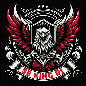 DJ Mahendra Vaghela - SB KING DJ ANKLAVADI WALA