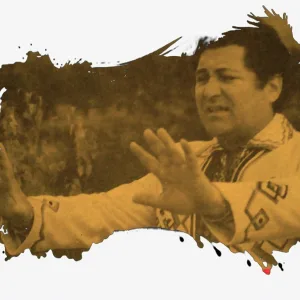 Nicolae Sulac - Foaie Verde Ca Aluna