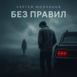 Сергей Молчанов - Без правил