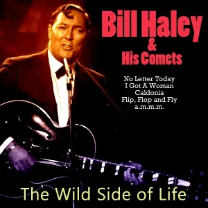 Bill Haley & His Comets - Anytime