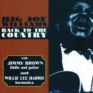 Big Joe Williams - Mean Backstabber