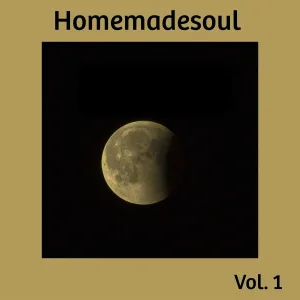 Homemadesoul - Figure It Out