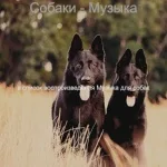 в список воспроизведения Музыка для собак - Атмосфера (Дрессировка собак)