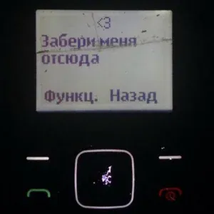 Чернышевский - Брат, окстись