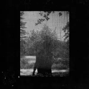 Grouper - Call Across Rooms