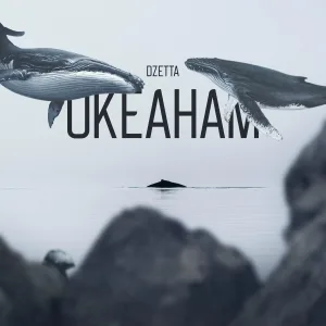 Dzetta - Океанам