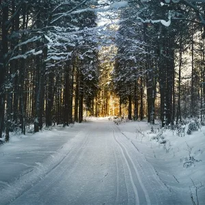 The Christmas All-Stars, Christmas Pianobar, Last Christmas Stars - Chill Factor