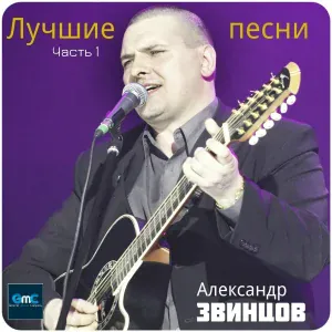Alexandr Zvintsov - Platform