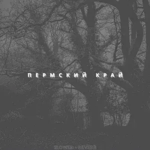 PERMSKY KRAY - 2002