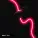 Xezzo - Special