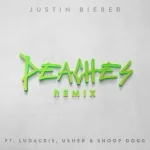 Justin Bieber feat. Ludacris, Usher, Snoop Dogg - Peaches