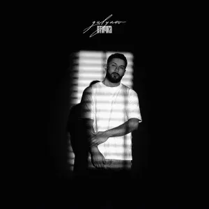 GULYAEV - Птичка