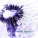 Maria Daines - Salt in My Wounds