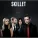 Skillet - Hero (Remix)