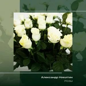 Александр Никитин - Розы