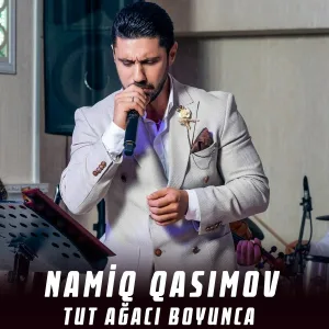 Namiq Qasımov - Tut Ağacı Boyunca