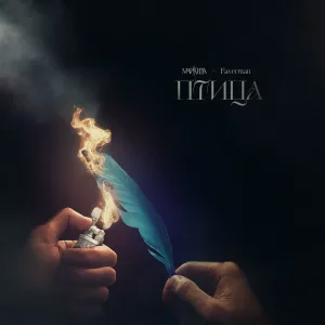 faverman, МАРКИЗА - Птица