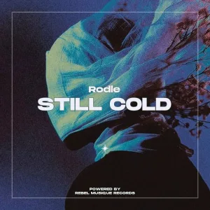 Rodle - Still Cold