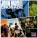 John Mayall & The Bluesbreakers - Oh Pretty Woman