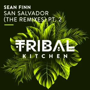 Sean Finn - San Salvador