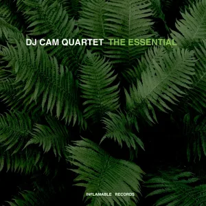 DJ Cam Quartet feat. Inlove - Everybody Loves the Sunshine