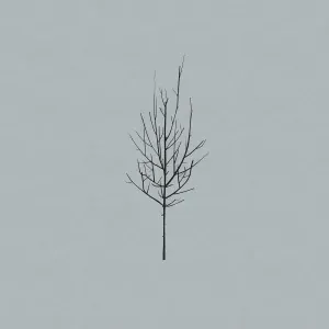 Low - Landslide
