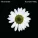 The Black Dog, Emika feat. Emika feat. Emika - Tell Me What You Remember