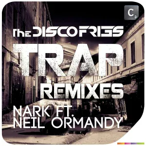 Disco Fries feat. Neil Ormandy - You Give Me Life
