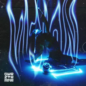 GWRZTRMNR - VISION