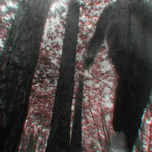 Viluwa - Стекло