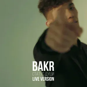 Bakr - Статус души