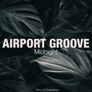 Airport Groove - Acid Solution