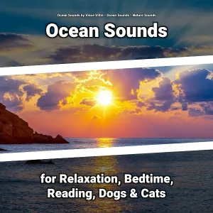 Ocean Sounds by Vince Villin, Ocean Sounds, Nature Sounds - Comforting Ambient