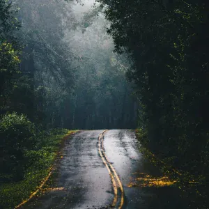 Musica Relajante, Rain Sounds, Ayurveda - In Dreams