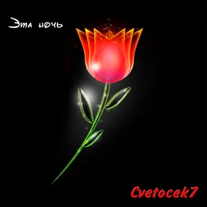 Cvetocek7 - Задушила