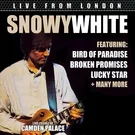 Snowy White - Bird Of Paradise