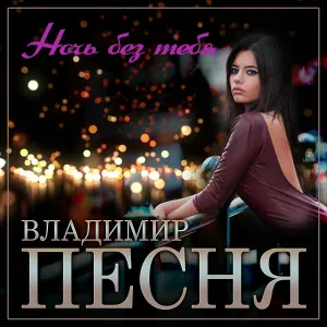 Владимир Песня - Ночь без тебя