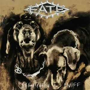 Fate - Won't Let You Down