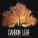 Carbon Leaf - Indecision