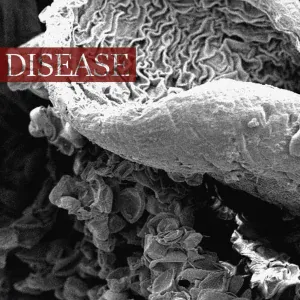ΛΛ4Я4ZΛΛ - g o n n a b e f i n e