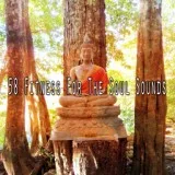 Massage Tribe - The Wise