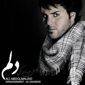 Ali Abdolmaleki - Delam
