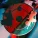 Kaito Shoma - Sharingan